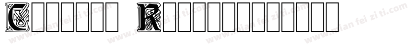 Carrick Regular字体转换